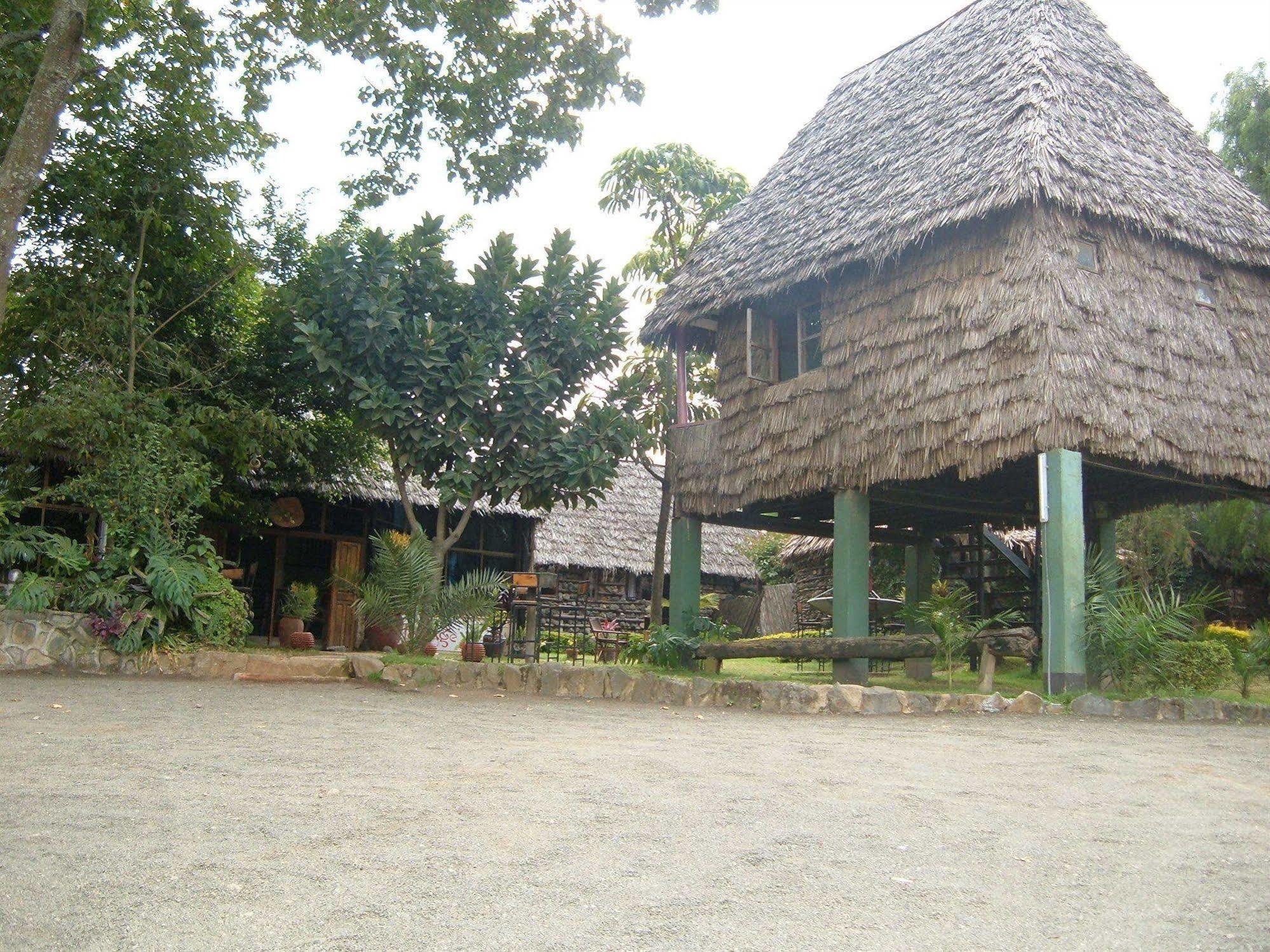 L Oasis Lodge And Restaurant Arusha Exterior photo